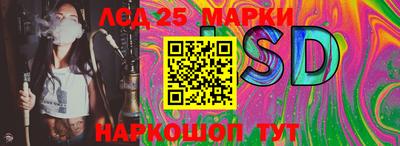 spice Кинель
