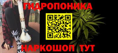 крисы Кимры