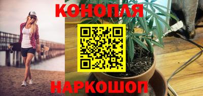 spice Кинель